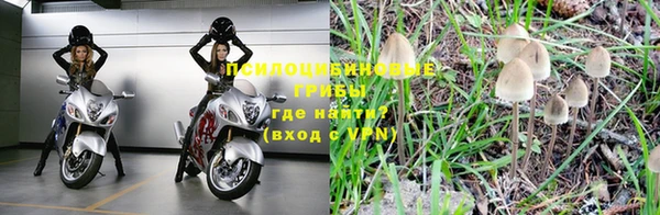 марки lsd Абдулино